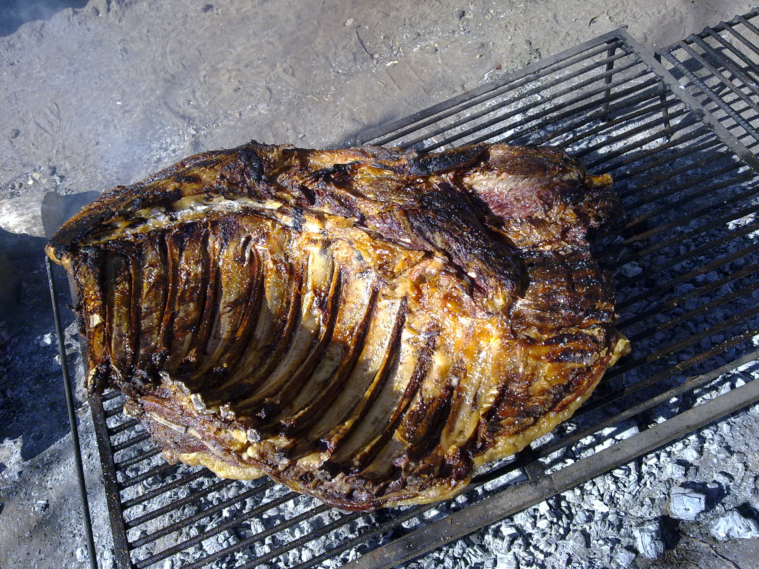 fotos/2010-08-29 - Cumple coco/29082010581.jpg